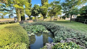 Un jardin paisible avec un étang, une végétation luxuriante et un banc.