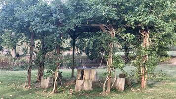 A garden with a wooden pergola, trees, and a small water feature.