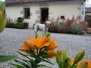 Dettaglio esterni