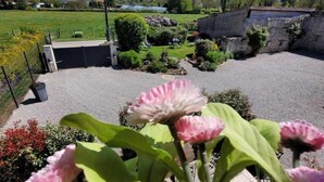 Ein Garten mit Kiesweg, Steinmauer und einem durch Zäune gesicherten Bereich mit Tor.