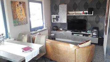 Télévision, cheminée, lecteur de DVD, livres