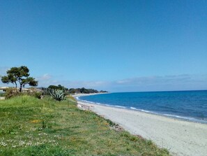 Plage, chaises longues