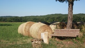 Hay bales, a wooden bench, and a tree in a field. - Small welcoming house in a farmhouse. (Parisot)