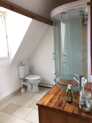 Bathtub, hair dryer, soap, shampoo