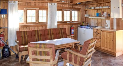 Gorgeous apartment in Rauland