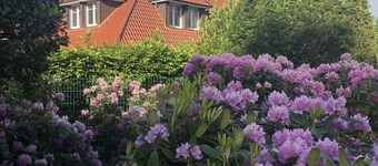 House Tivoli