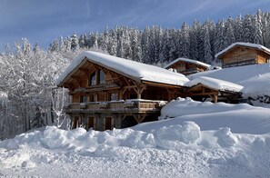 Exterior - Location chalet luxe aux Carroz, Grand Massif, vue exceptionnelle. Luxury chalet (Arâches-la-Frasse)