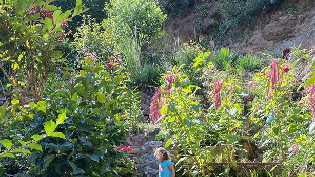 A child walking down a stone staircase surrounded by lush greenery and plants. - Apartment in the wine and leisure idyll of Klöch. (Klöch)