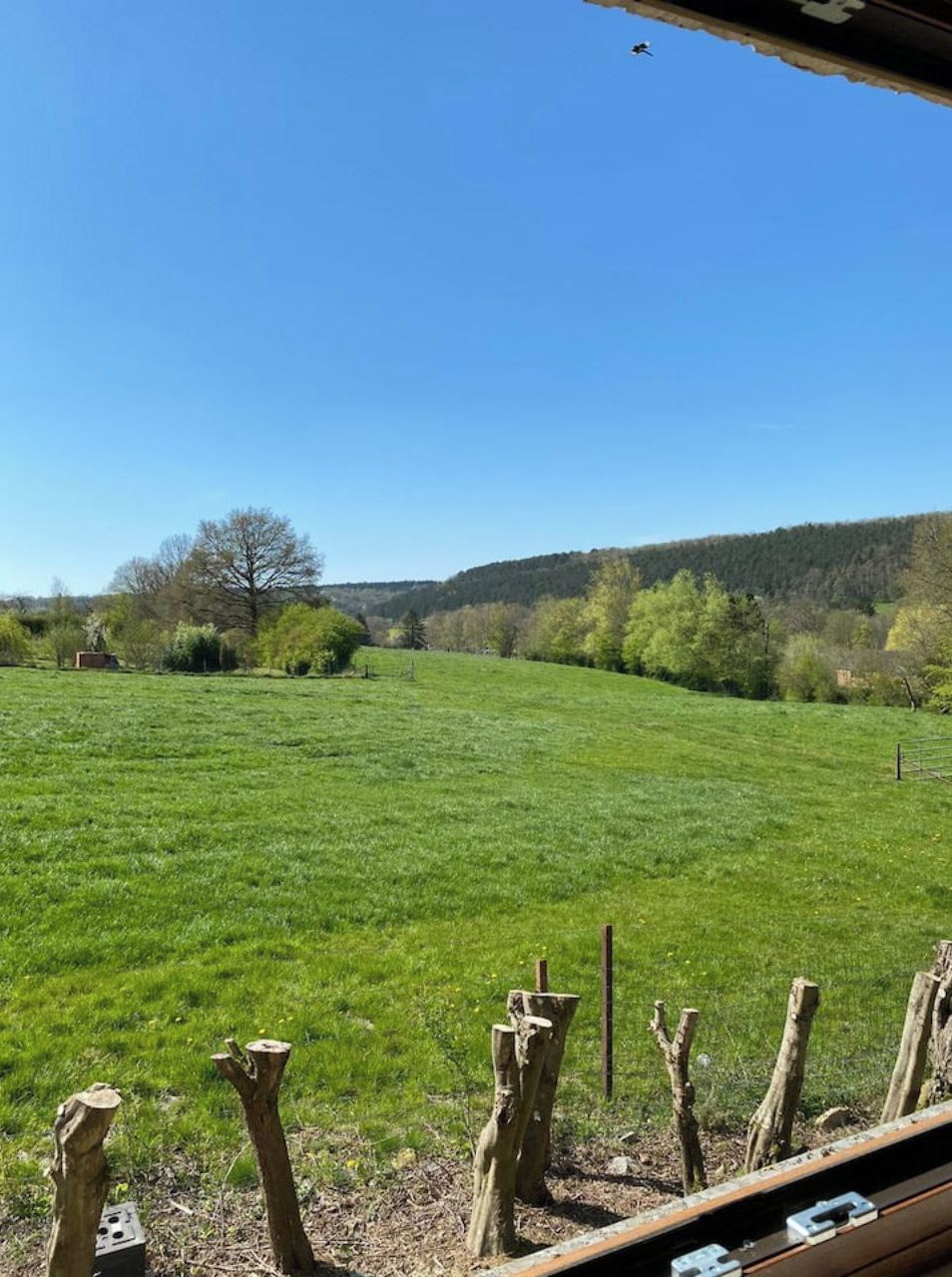 Een grasveld met een houten omheining op de voorgrond en een helderblauwe lucht.