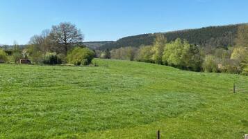 Een grasveld met een houten omheining op de voorgrond en een helderblauwe lucht.