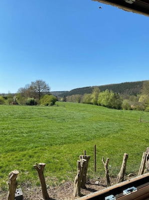 Een grasveld met een houten omheining op de voorgrond en een helderblauwe lucht.