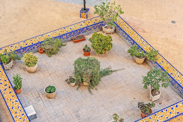 A courtyard with potted plants arranged in a geometric pattern, a tiled floor, and a decorative border.