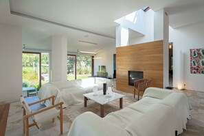 テレビ、暖炉、DVD プレーヤー、書庫