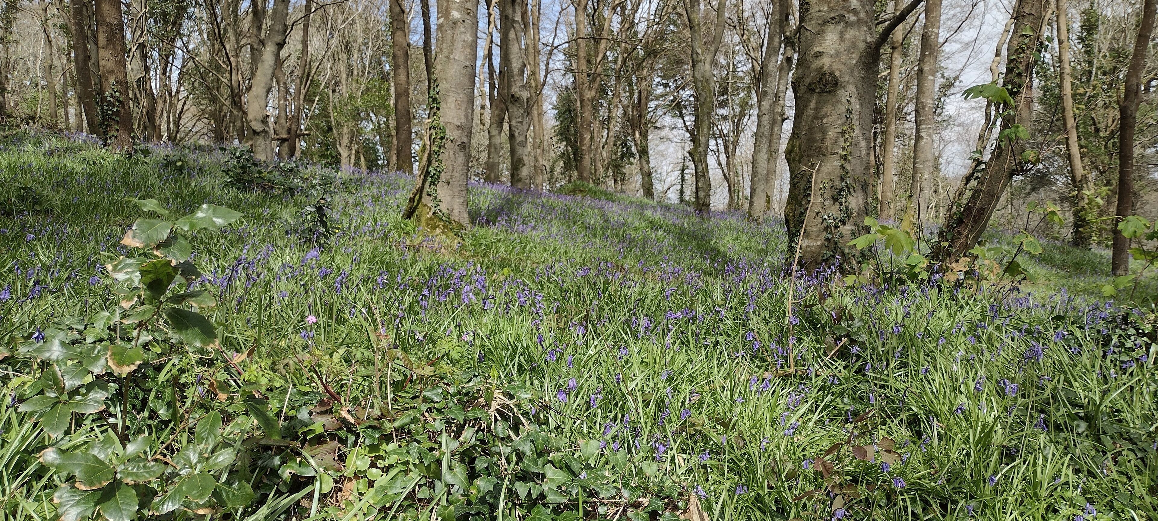 Terrain de l’hébergement 