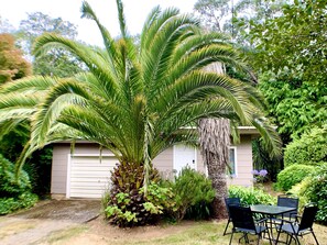 A house with a large palm tree in the front yard, a patio with a table and chairs, and a garage in the background. - Beach & Redwoods 5mins from Unexpected Oasis (Crescent City)