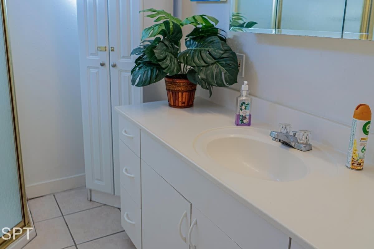 A bathroom with a white sink, a potted plant, a bottle of hand soap, and a can of lotion.