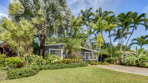 A house surrounded by lush tropical vegetation, including palm trees and various shrubs.