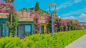 Chambre Confort Double ou avec lits jumeaux | Terrasse/Patio