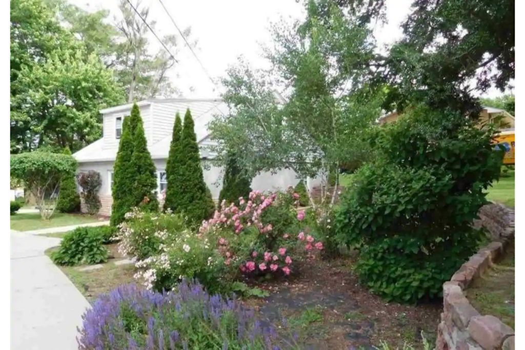 Forest Cottage Peaceful Acreage