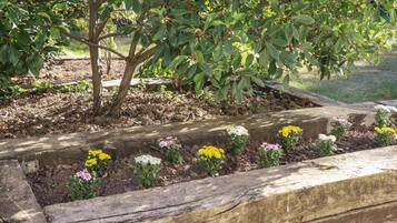A garden with a variety of flowers and a tree.