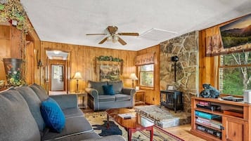 Televisión, chimenea, reproductor de DVD