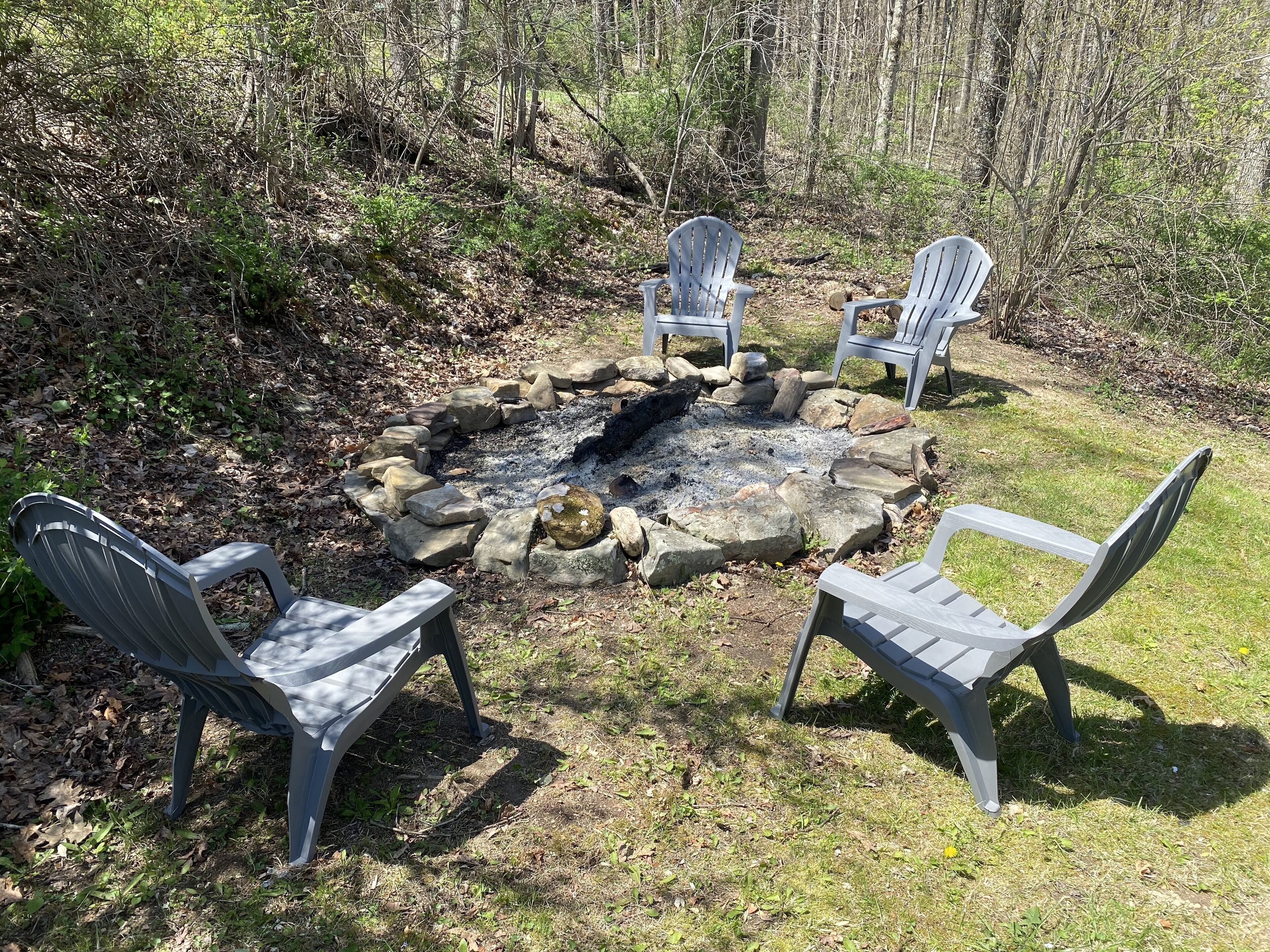 Top 12 PetFriendly Cabins Near Summersville Lake, West Virginia Updated 2024 Trip101