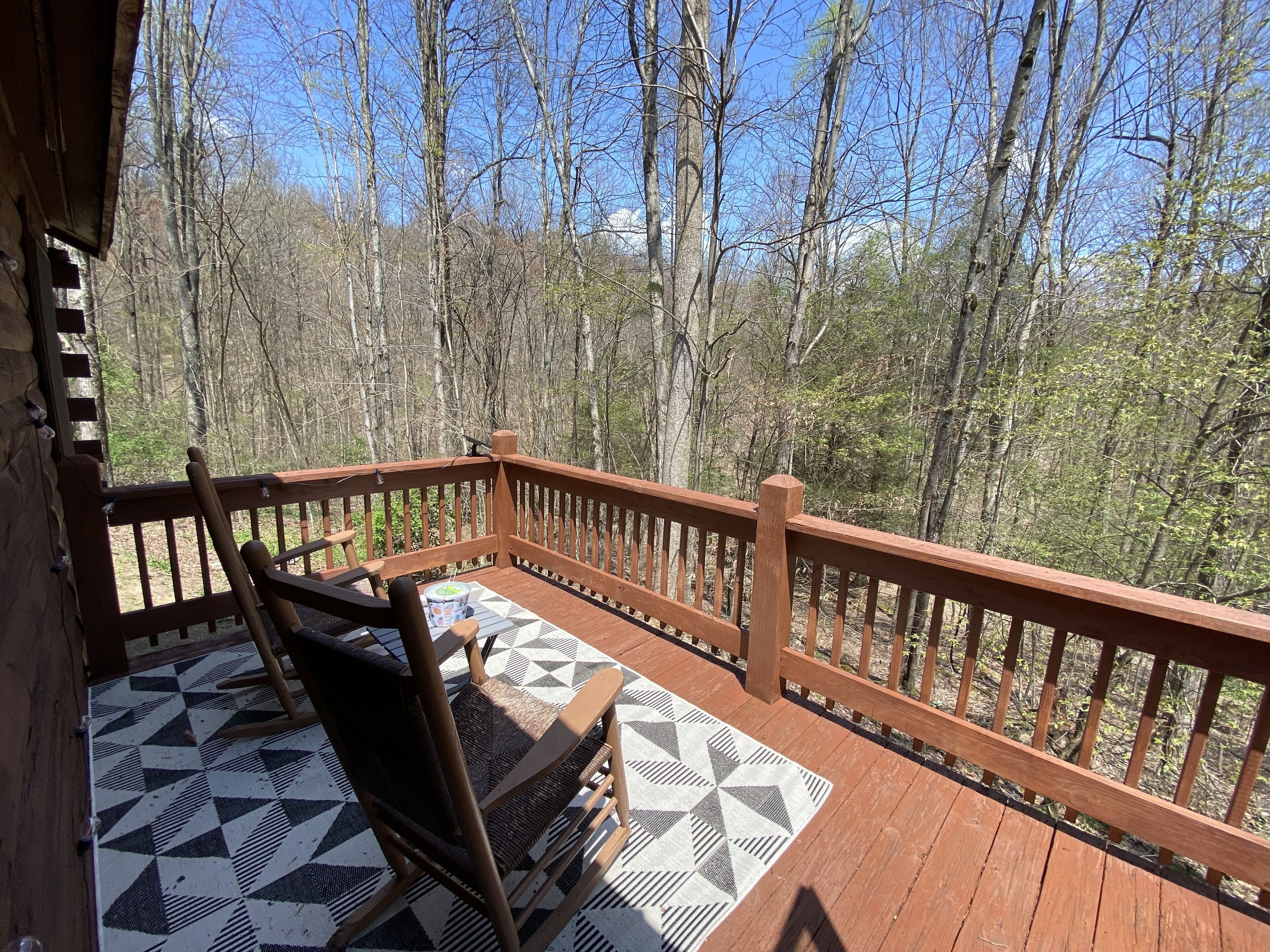 Top 12 PetFriendly Cabins Near Summersville Lake, West Virginia