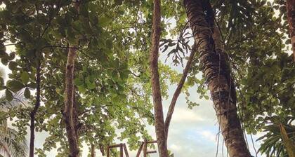 Faith Glamping Dome Costa Rica