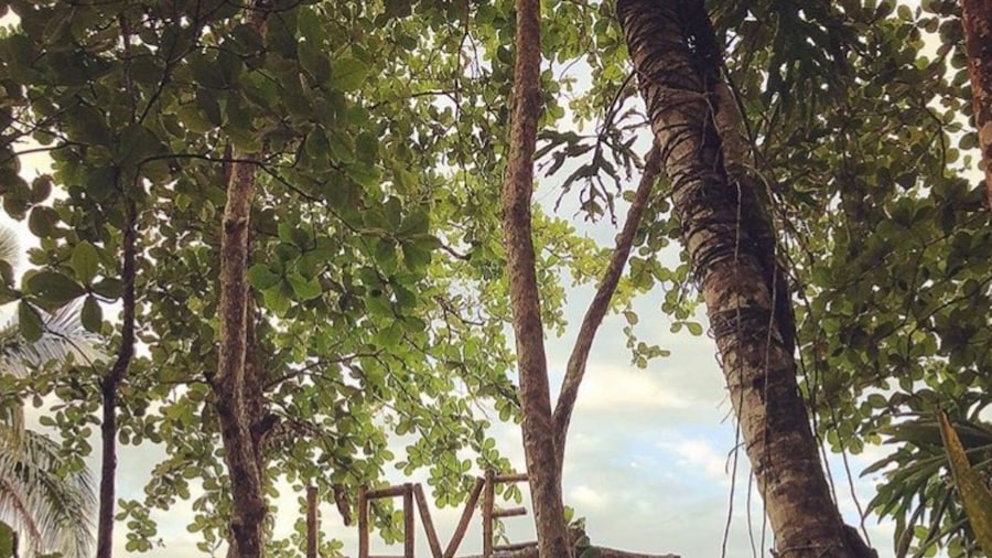 Faith Glamping Dome Costa Rica