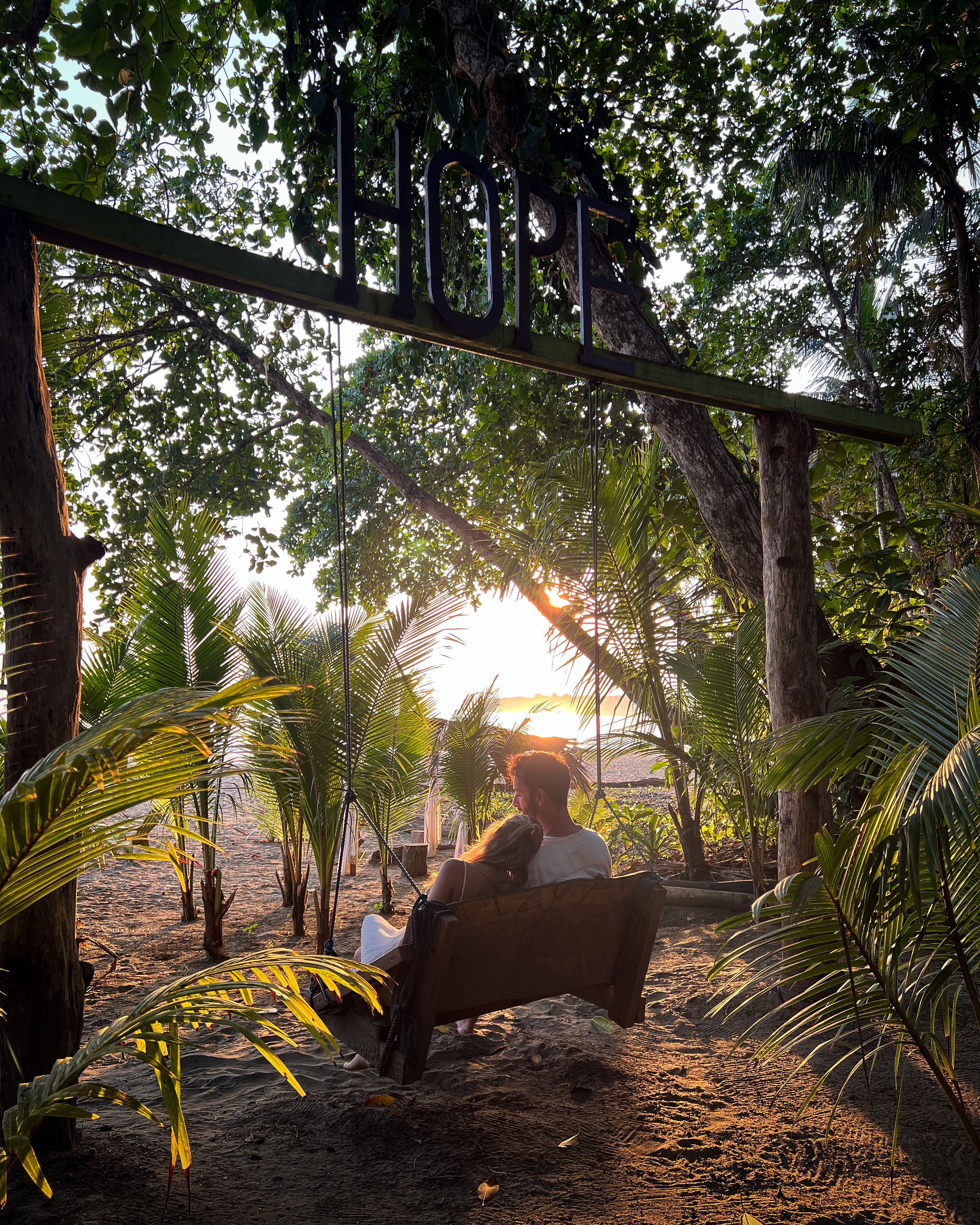 A hammock under a tree with a person sitting in it, surrounded by palm trees and a sandy ground.