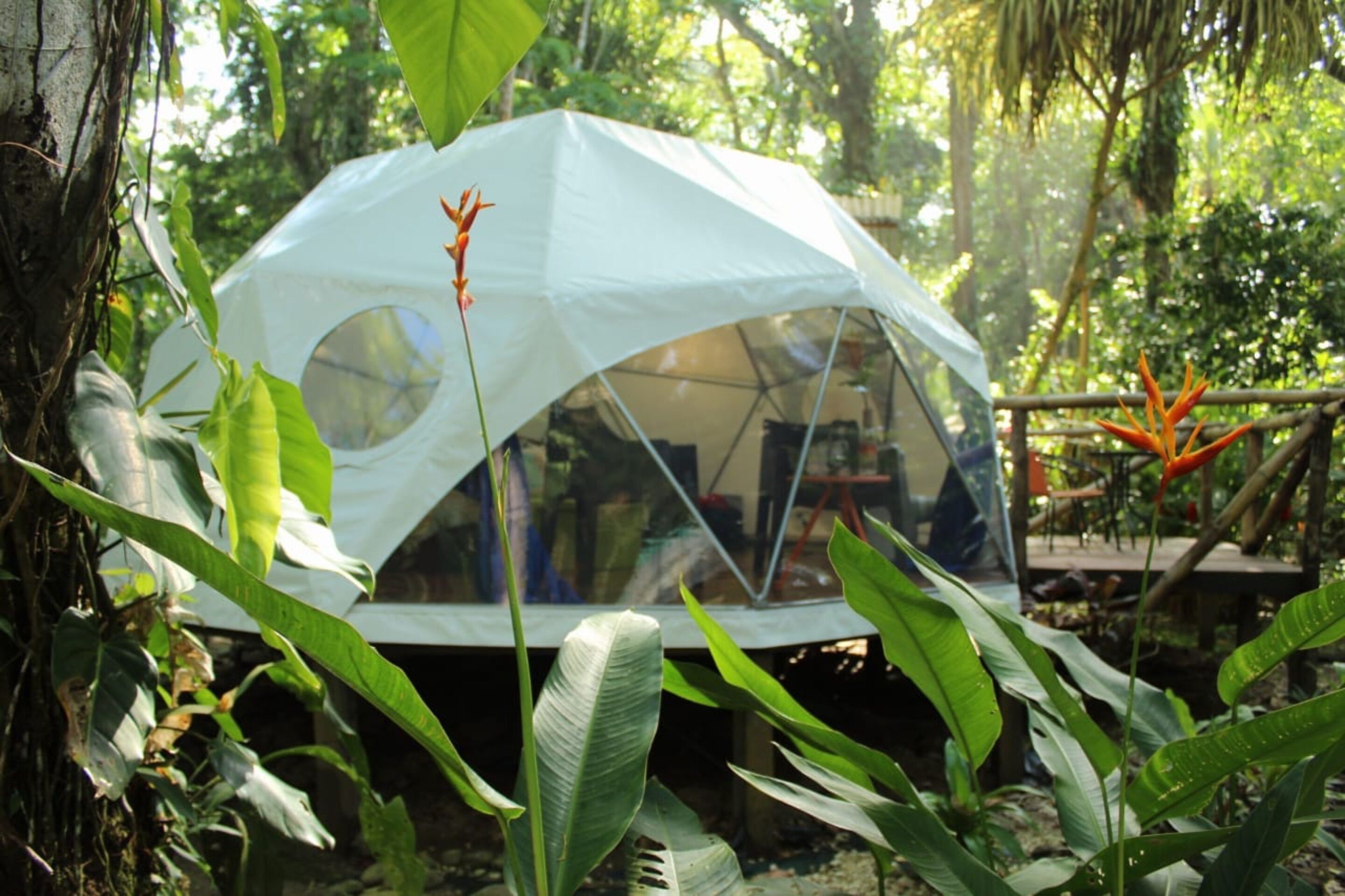 A dome-shaped tent with a circular window, surrounded by lush greenery and a wooden deck.