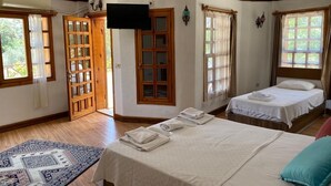 Family Room | Desk, laptop workspace, individually decorated, individually furnished - Deniz Butik Otel (Selçuk)