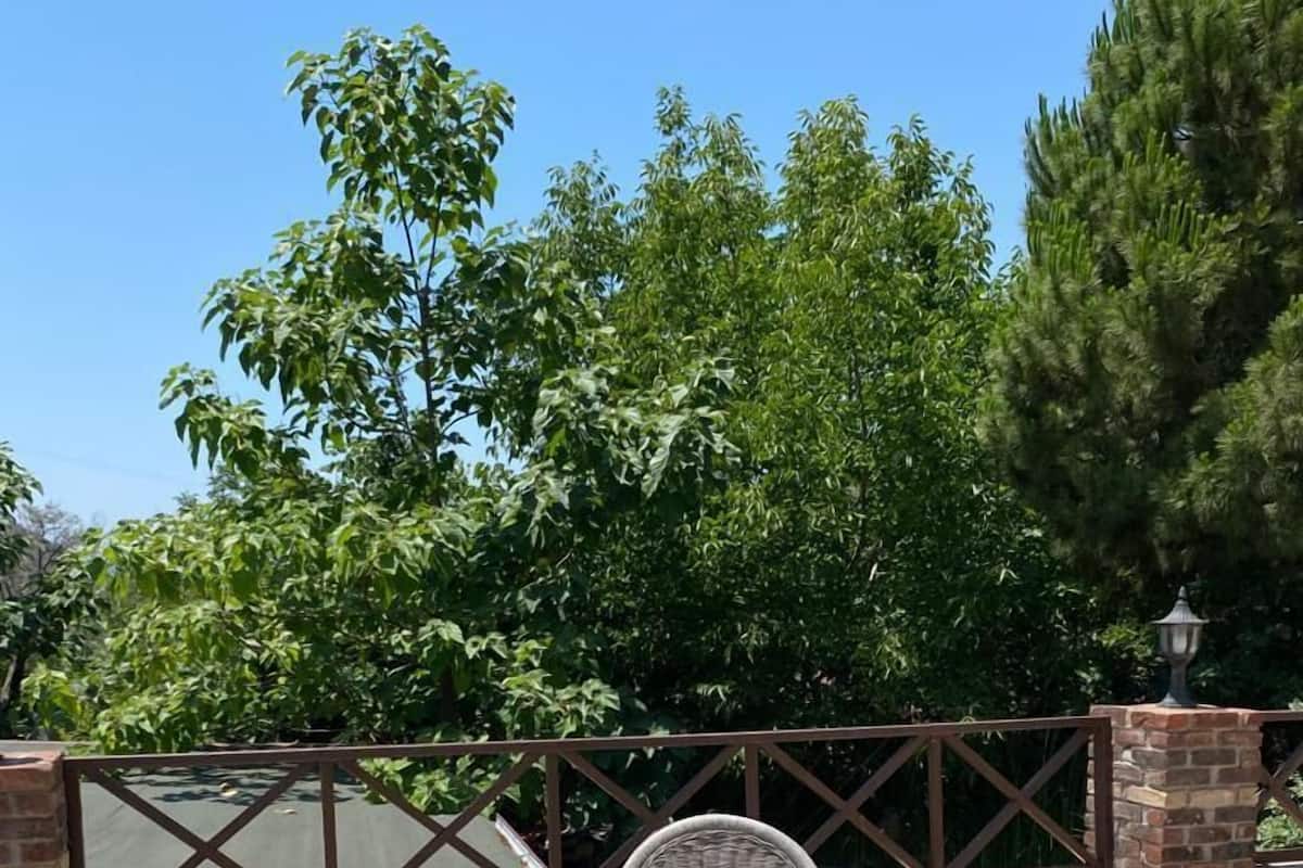 Individually decorated, individually furnished, desk, laptop workspace