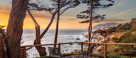 テラス / パティオ