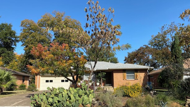 A single-story house with a garage, surrounded by a variety of plants and trees. - Charming East Dallas Home (Dallas)