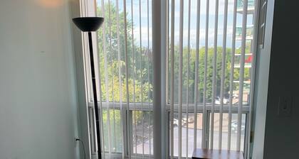 Cozy Newly renovated condo