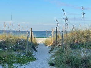 Immagine non classificata, 4 di 57, pulsante