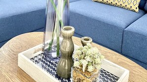 Uma sala de estar com um sofá azul, um tabuleiro com objetos decorativos e uma planta grande.