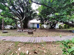 Uma área de jardim com um caminho pavimentado que leva a um edifício com porta azul.