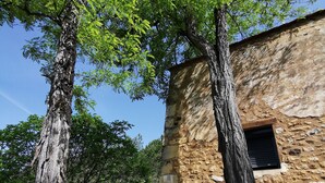 Un edifici de pedra amb una finestra i unes escales que hi condueixen, envoltat d'arbres.