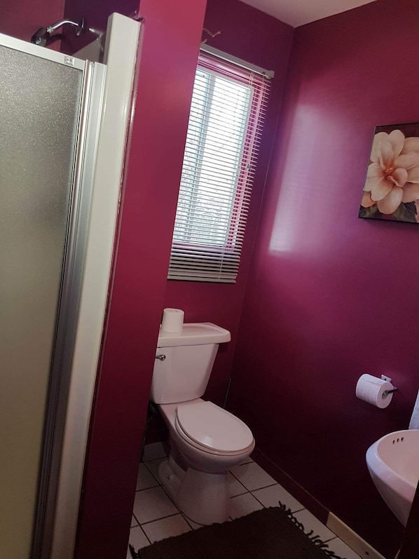 Une petite salle de bain avec des toilettes, un lavabo et une douche.