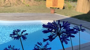 Een zwembad met blauwe bloemen op de voorgrond en een houten huis op de achtergrond.