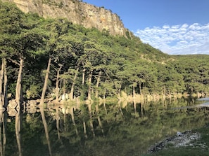 Surrounded by lush trees and a majestic cliff, this serene landscape offers a peaceful escape.