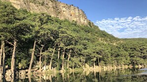 A calm river reflecting trees and a rocky cliff. - Zubers - CA -F Cabin F (Concan)