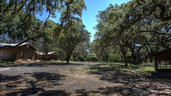 A rustic cabin-style lodging area with multiple wooden cabins, surrounded by mature trees and a gravel driveway.