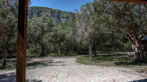 Un sentier de gravier traverse une zone boisée, avec des arbres, et une montagne en arrière-plan.