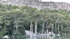 Eine natürliche Landschaft mit Gewässer, Bäumen und einer Felsklippe.