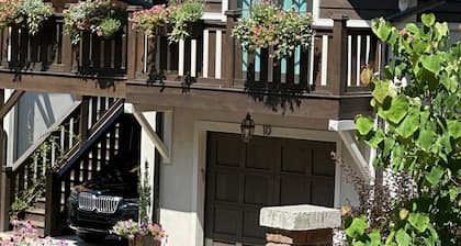 Studio in upscale, intimate Black Mountain neighborhood