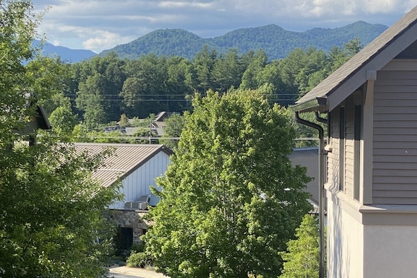 Vista desde la propiedad