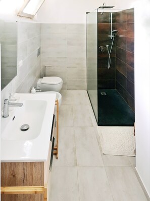 Shower, hair dryer, bidet, towels